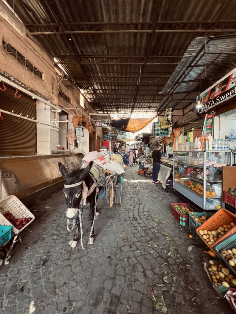 zoco-marrakech