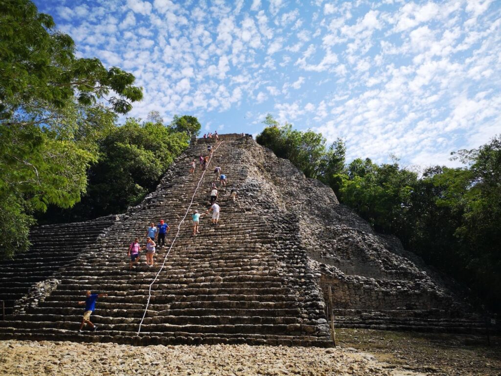 coba-4