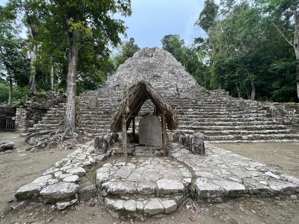 coba-8