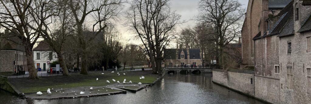 BELGICA_2