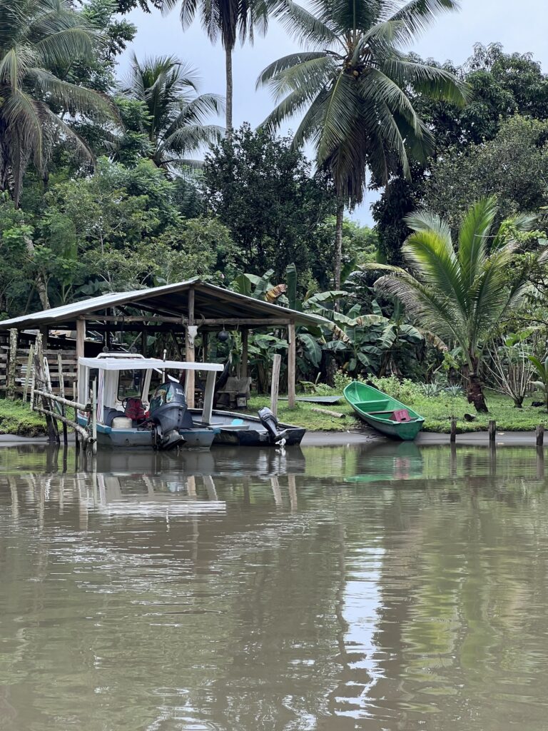 TORTUGUERO