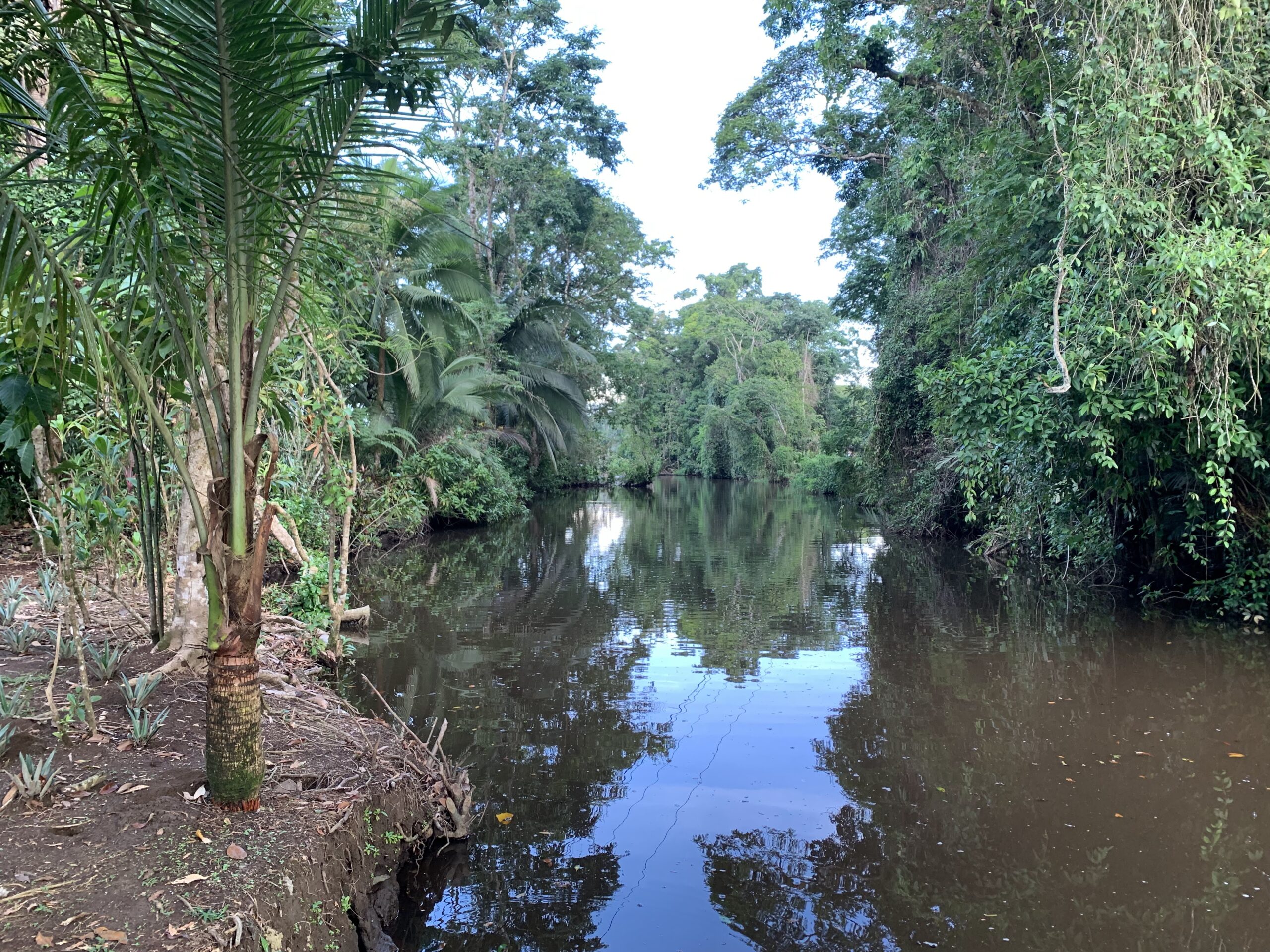 canales-1