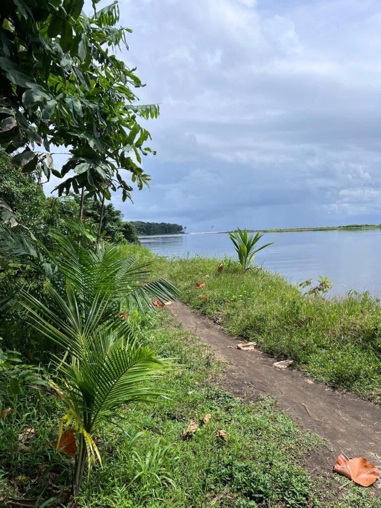 cerro-tortuguero-1