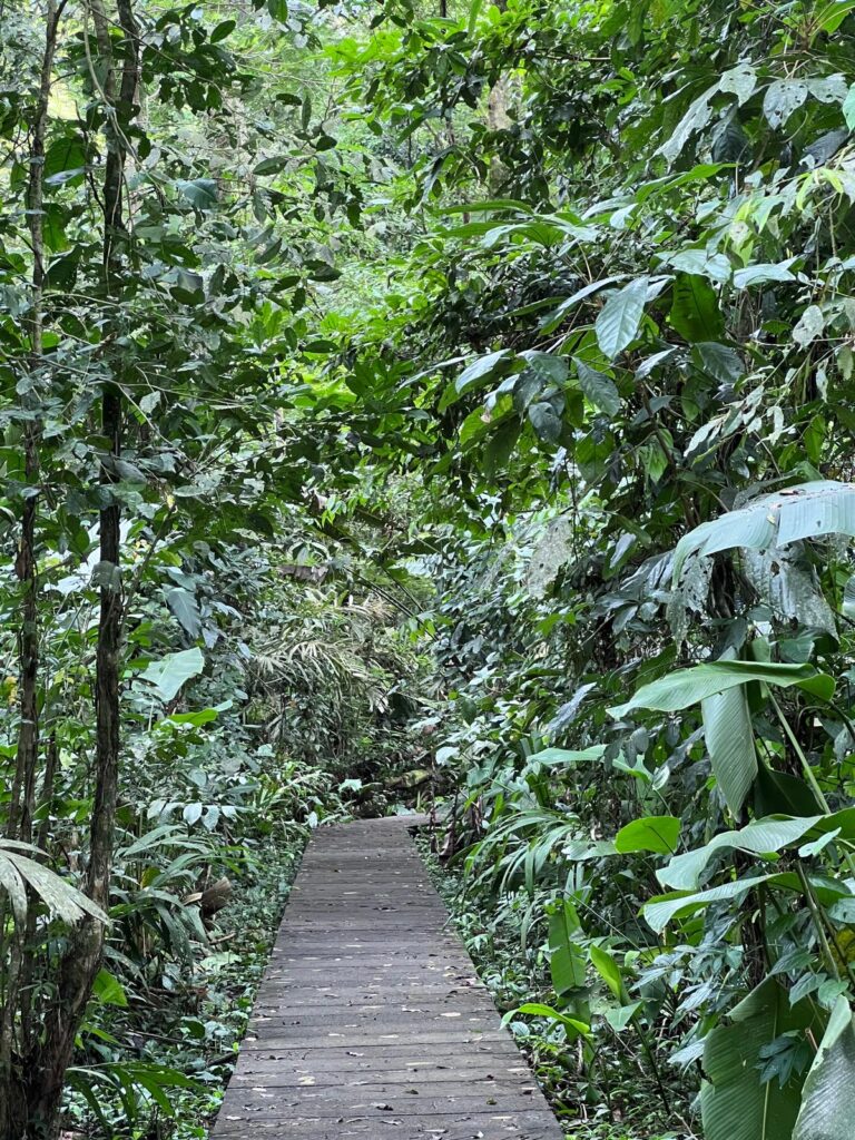 cerro-tortuguero-4