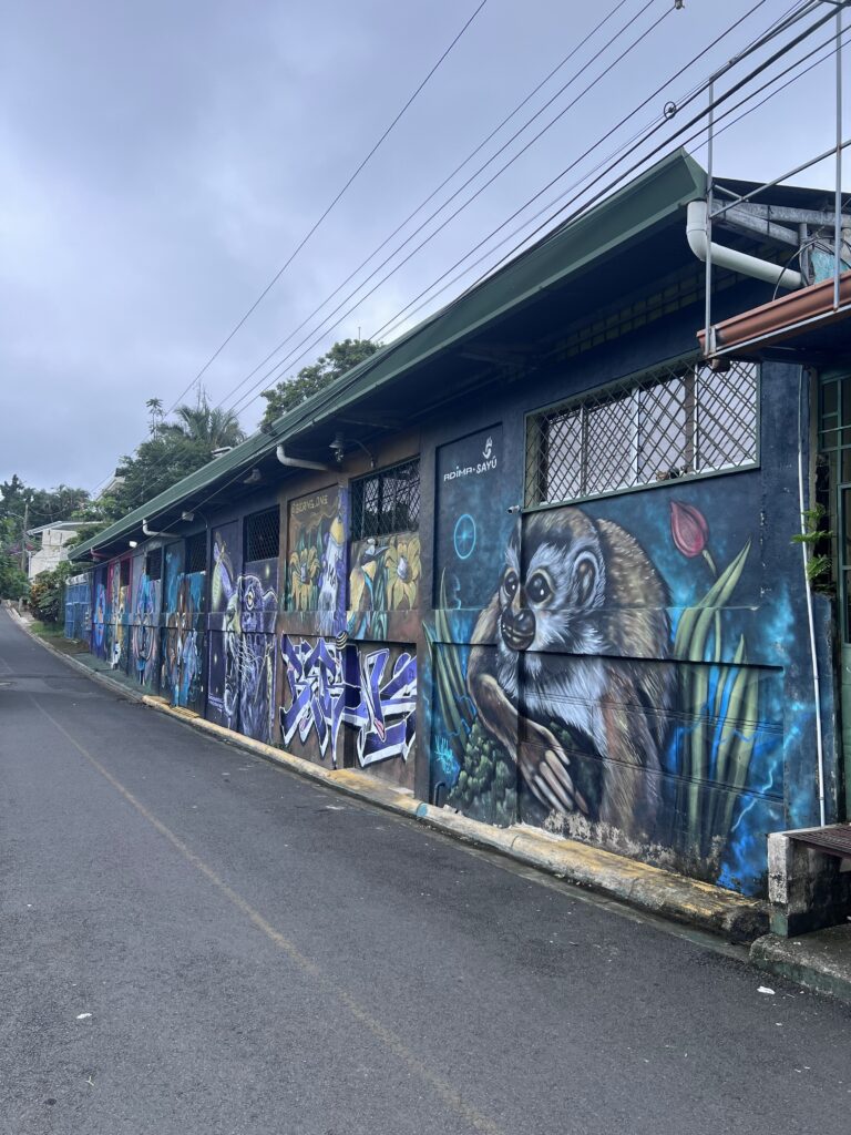 manuel-antonio-5