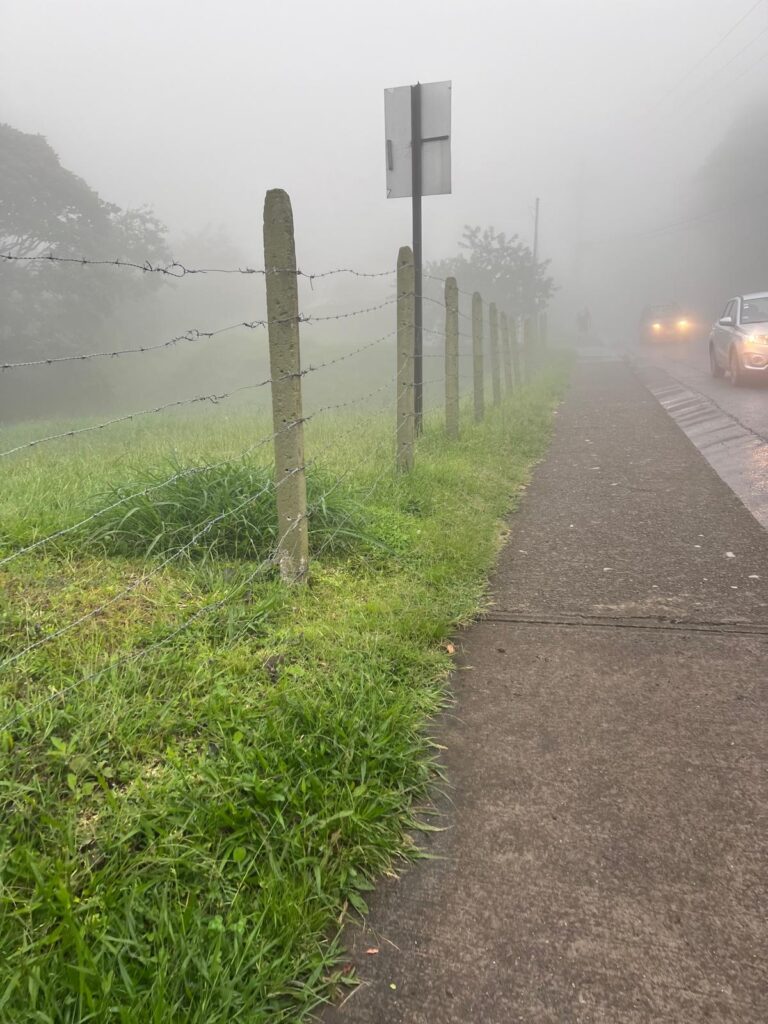 monteverde-4