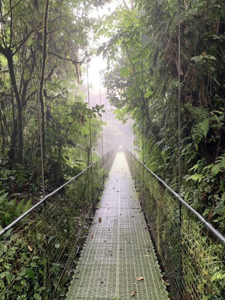 monteverde_1
