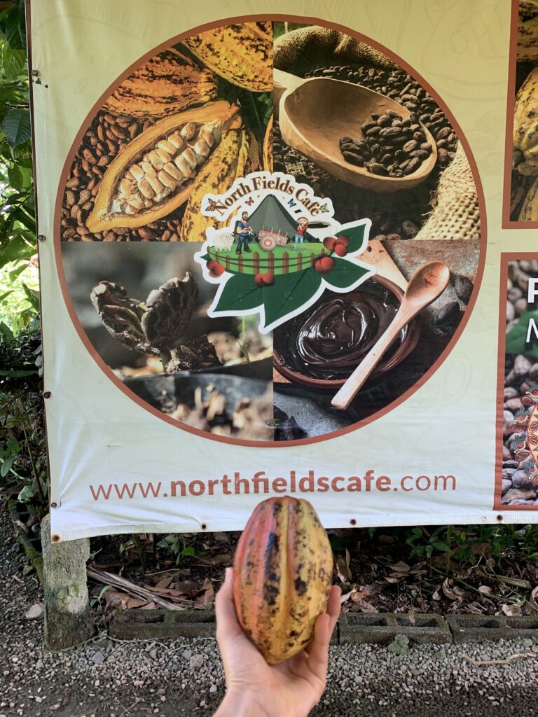 north-field-2