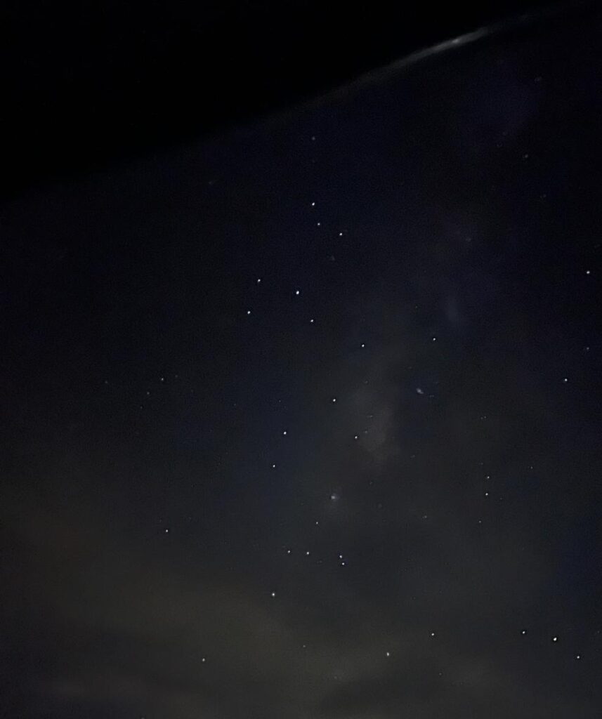 tortuguero-noche