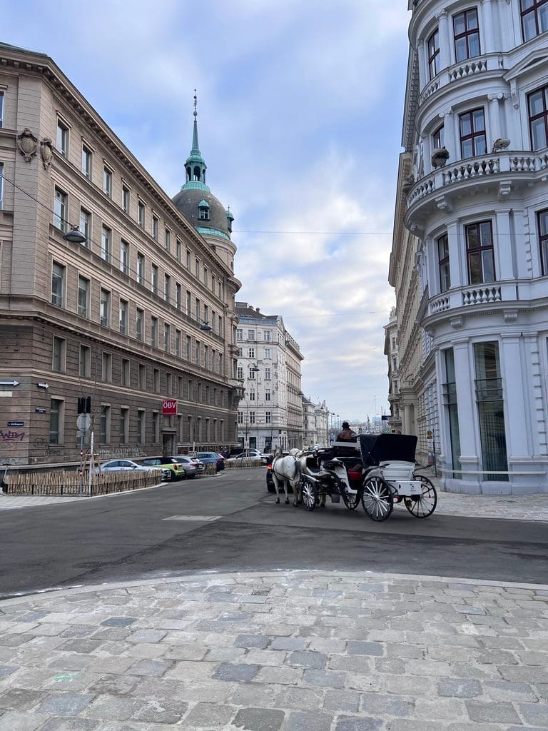 viena-5