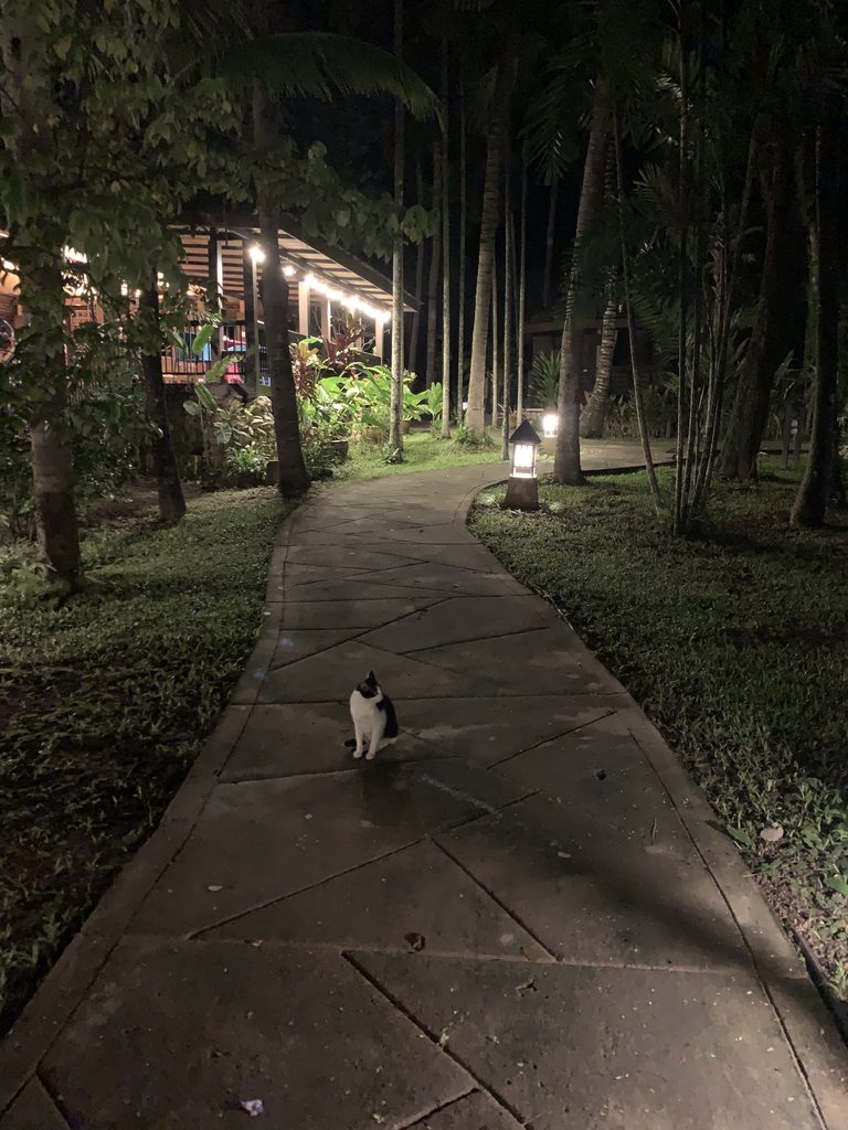 River-Kwai-Resotel-8